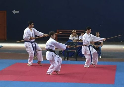 Dojo Sho Tai -44